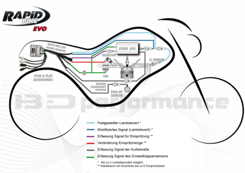 RB EVO Triumph Daytona 765 / BJ 19->20
