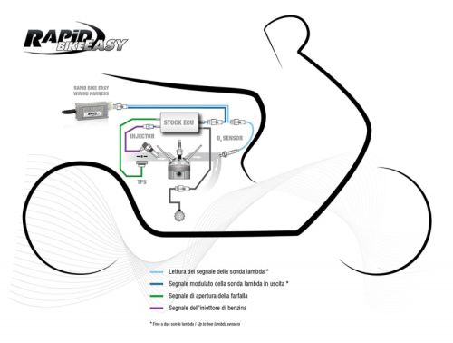 RB EASY Yamaha YZF R1/M / BJ 17-19 BDp-Spezial