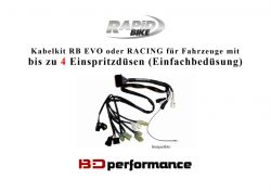 RB EVO oder RACING Kabelkit