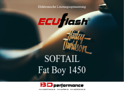 ECUflash - HD SOFTAIL Fat Boy 1450 - 49kW/67HP